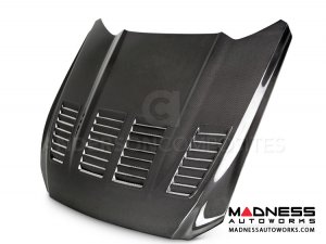 Ford Mustang Type TW Hood by Anderson Composites - Carbon Fiber - Double Sided